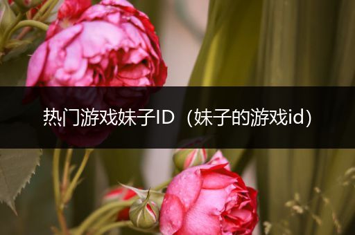 热门游戏妹子ID（妹子的游戏id）