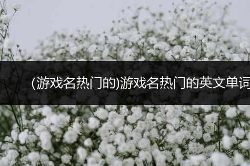 （游戏名热门的)游戏名热门的英文单词