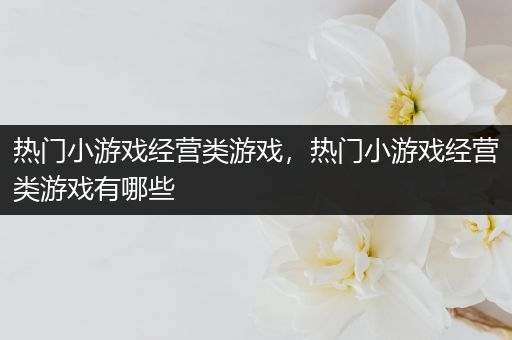 热门小游戏经营类游戏，热门小游戏经营类游戏有哪些