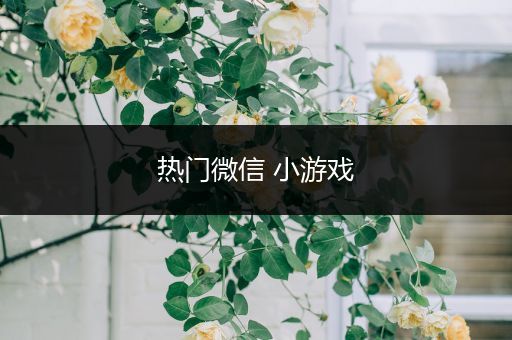 热门微信 小游戏