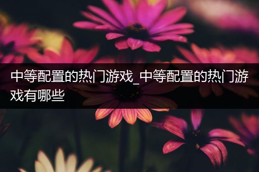 中等配置的热门游戏_中等配置的热门游戏有哪些