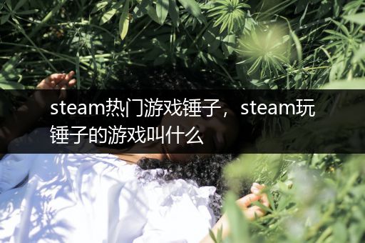 steam热门游戏锤子，steam玩锤子的游戏叫什么