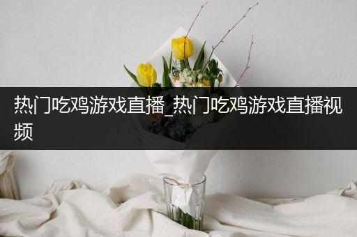 热门吃鸡游戏直播_热门吃鸡游戏直播视频