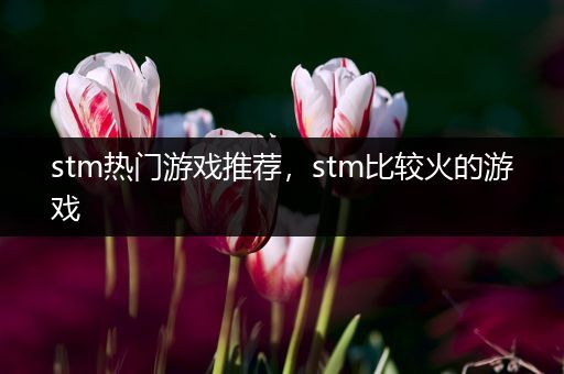 stm热门游戏推荐，stm比较火的游戏