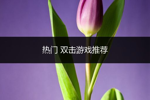 热门 双击游戏推荐