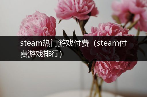 steam热门游戏付费（steam付费游戏排行）