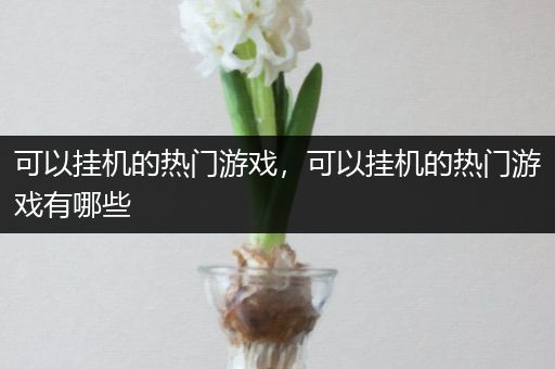 可以挂机的热门游戏，可以挂机的热门游戏有哪些