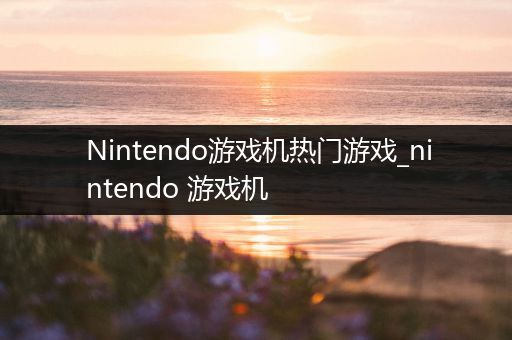 Nintendo游戏机热门游戏_nintendo 游戏机