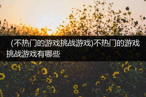 （不热门的游戏挑战游戏)不热门的游戏挑战游戏有哪些