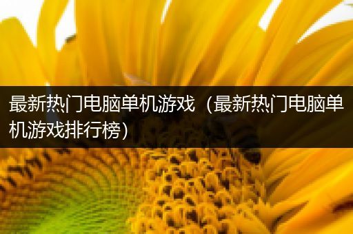 最新热门电脑单机游戏（最新热门电脑单机游戏排行榜）