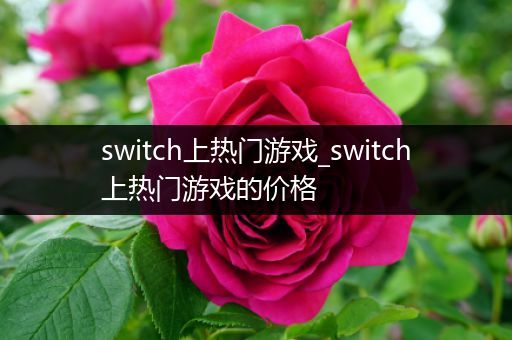 switch上热门游戏_switch上热门游戏的价格