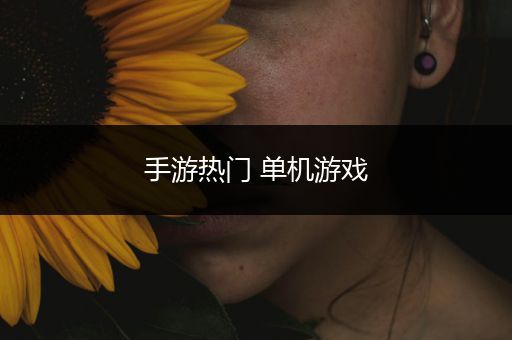 手游热门 单机游戏