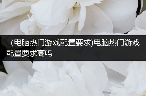 （电脑热门游戏配置要求)电脑热门游戏配置要求高吗