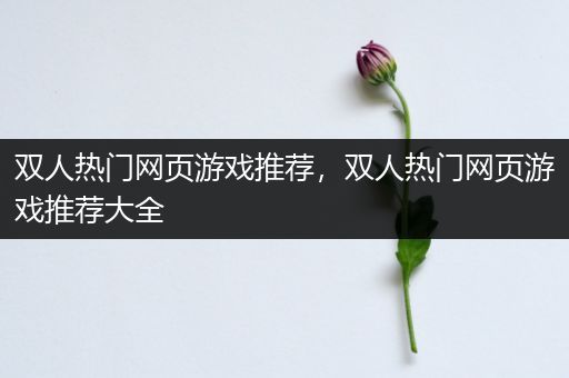 双人热门网页游戏推荐，双人热门网页游戏推荐大全