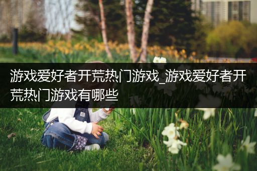 游戏爱好者开荒热门游戏_游戏爱好者开荒热门游戏有哪些