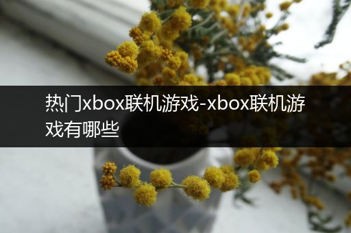 热门xbox联机游戏-xbox联机游戏有哪些