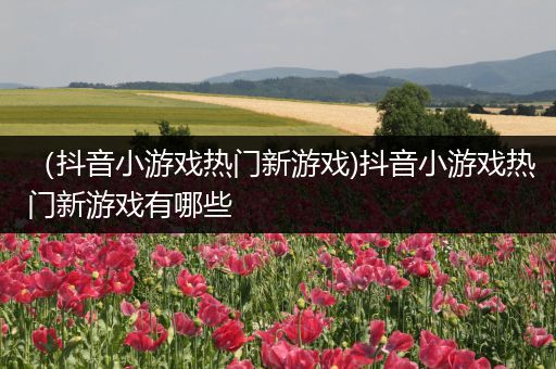 （抖音小游戏热门新游戏)抖音小游戏热门新游戏有哪些