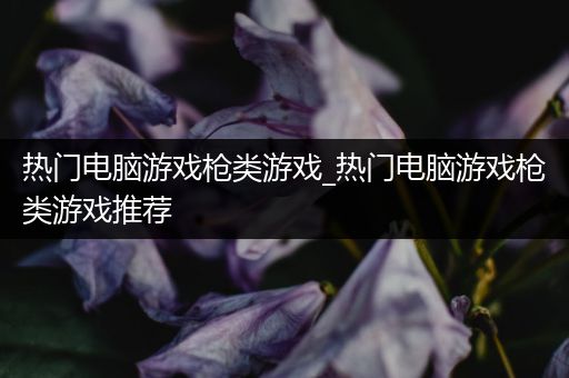 热门电脑游戏枪类游戏_热门电脑游戏枪类游戏推荐