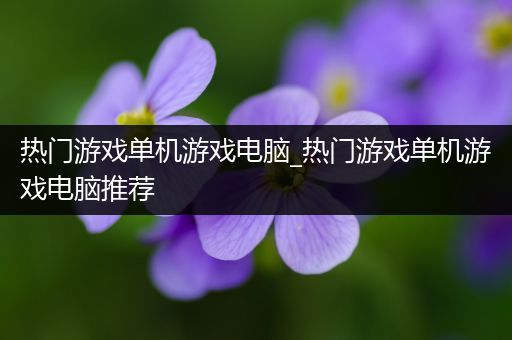 热门游戏单机游戏电脑_热门游戏单机游戏电脑推荐