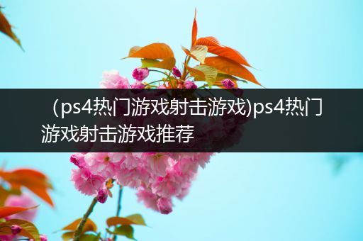 （ps4热门游戏射击游戏)ps4热门游戏射击游戏推荐