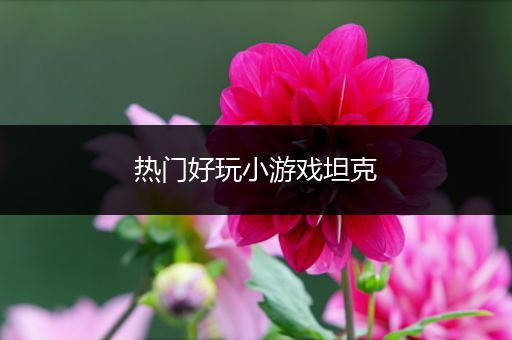 热门好玩小游戏坦克