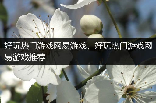 好玩热门游戏网易游戏，好玩热门游戏网易游戏推荐