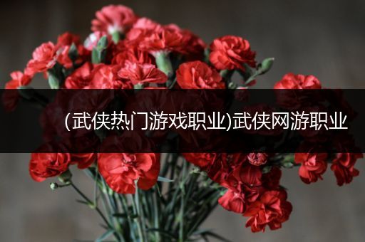 （武侠热门游戏职业)武侠网游职业