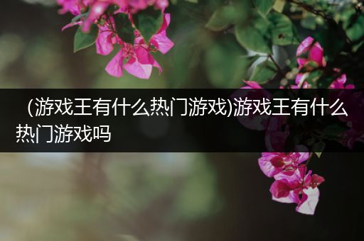 （游戏王有什么热门游戏)游戏王有什么热门游戏吗