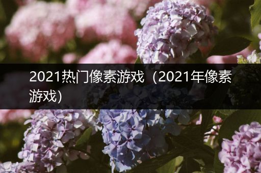 2021热门像素游戏（2021年像素游戏）