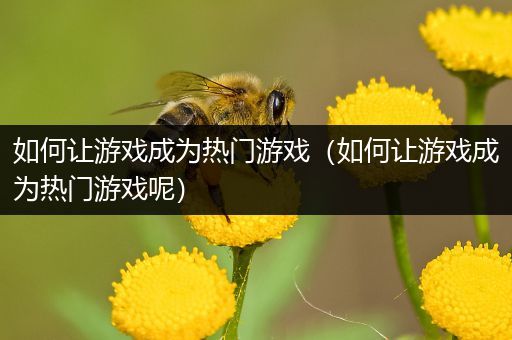 如何让游戏成为热门游戏（如何让游戏成为热门游戏呢）