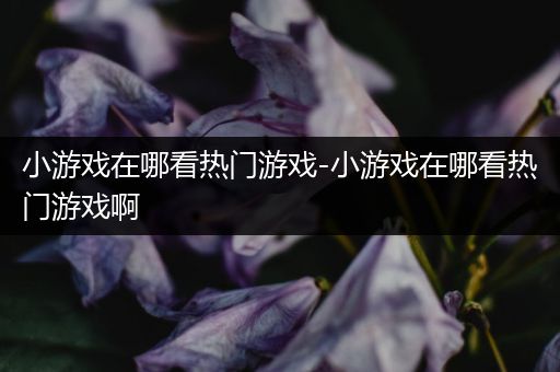 小游戏在哪看热门游戏-小游戏在哪看热门游戏啊