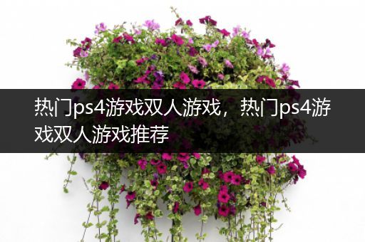 热门ps4游戏双人游戏，热门ps4游戏双人游戏推荐