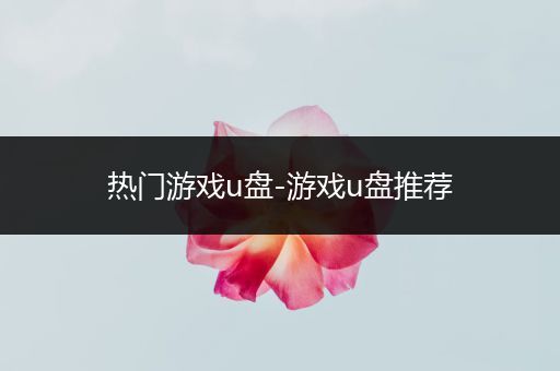 热门游戏u盘-游戏u盘推荐