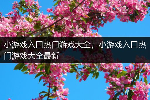 小游戏入口热门游戏大全，小游戏入口热门游戏大全最新