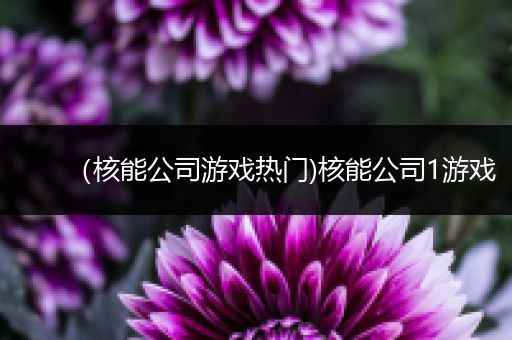 （核能公司游戏热门)核能公司1游戏