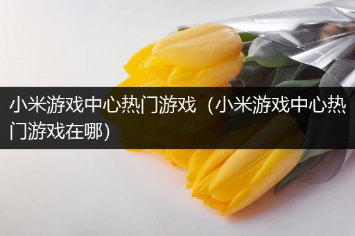 小米游戏中心热门游戏（小米游戏中心热门游戏在哪）