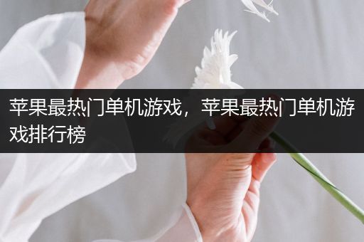 苹果最热门单机游戏，苹果最热门单机游戏排行榜