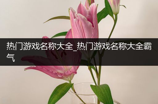 热门游戏名称大全_热门游戏名称大全霸气