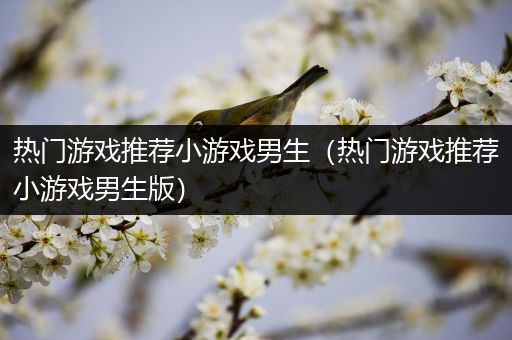 热门游戏推荐小游戏男生（热门游戏推荐小游戏男生版）