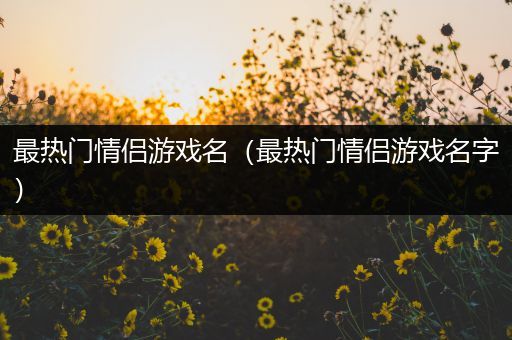 最热门情侣游戏名（最热门情侣游戏名字）