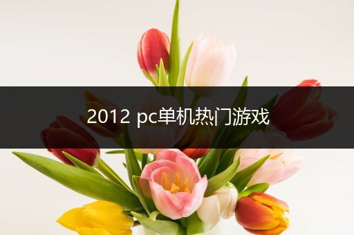 2012 pc单机热门游戏