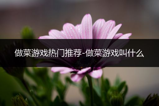 做菜游戏热门推荐-做菜游戏叫什么