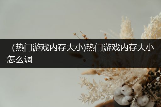 （热门游戏内存大小)热门游戏内存大小怎么调