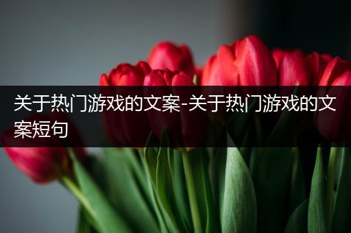 关于热门游戏的文案-关于热门游戏的文案短句