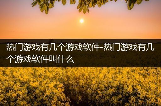 热门游戏有几个游戏软件-热门游戏有几个游戏软件叫什么