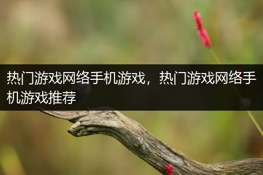 热门游戏网络手机游戏，热门游戏网络手机游戏推荐