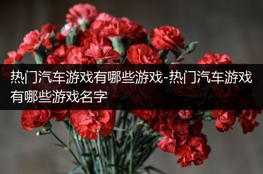 热门汽车游戏有哪些游戏-热门汽车游戏有哪些游戏名字