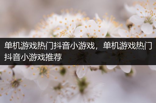 单机游戏热门抖音小游戏，单机游戏热门抖音小游戏推荐