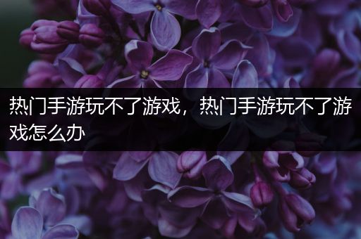 热门手游玩不了游戏，热门手游玩不了游戏怎么办