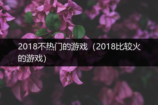 2018不热门的游戏（2018比较火的游戏）